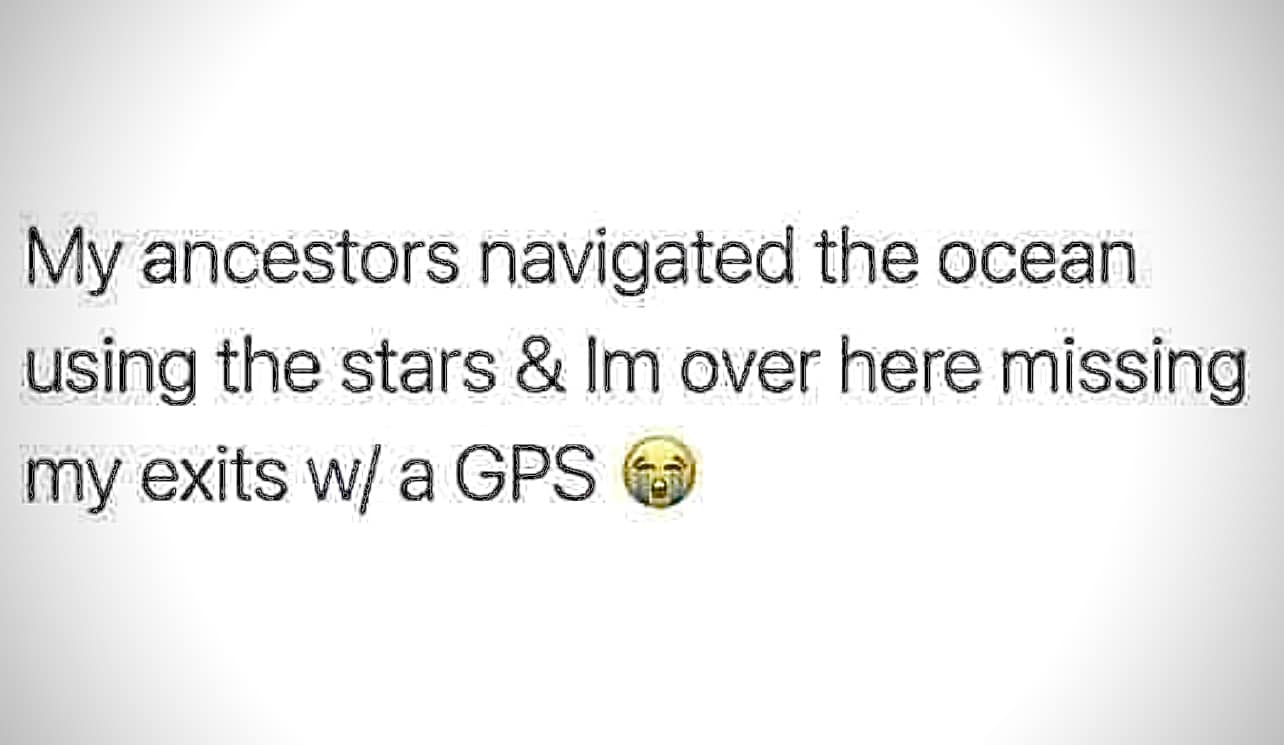 My Ancestors vs Me 1 Ancestors meme