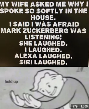 27 Hey Siri Memes That Will Make You Wish You Had A Personal Assistant 10 My wife asked why I spoke so softly