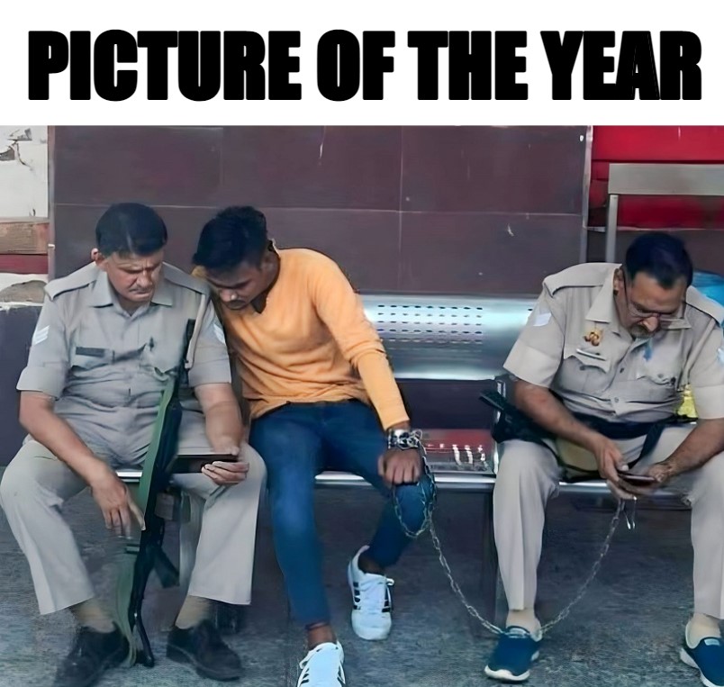 Picture Of The Year 1 picture of the year meme