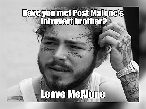 55 Introvert Jokes That Will Make You Laugh On The Inside 1 post malones introvert brother