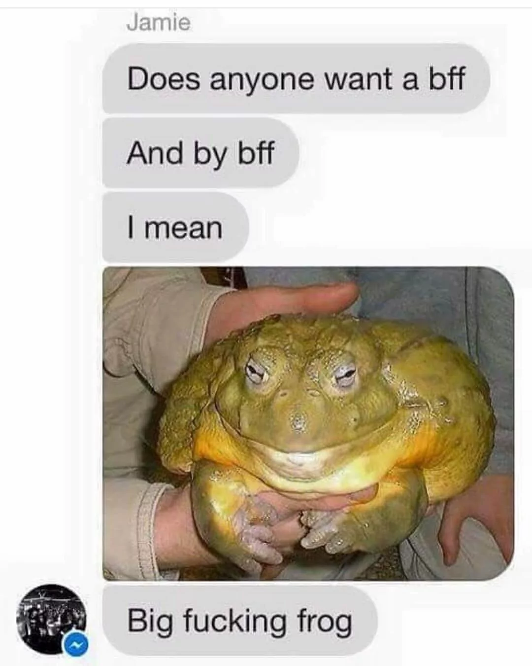 Quite Certain That Its A Toad 1 Toad memes