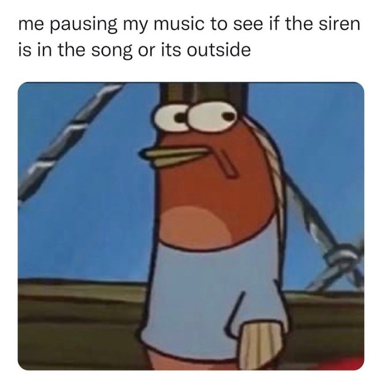 Pausing my music meme