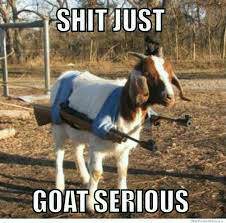 25 Goat Memes That Will Make You Go 'Bahahaha! 15 Shit just goat serious