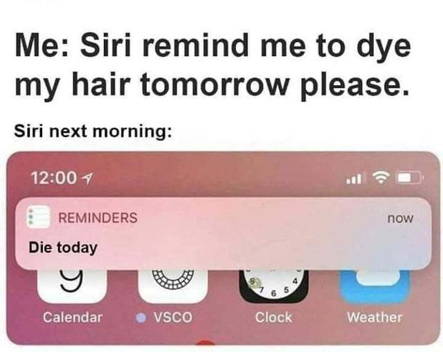 27 Hey Siri Memes That Will Make You Wish You Had A Personal Assistant 14 Siri Remind me to dye my hair - hey siri memes