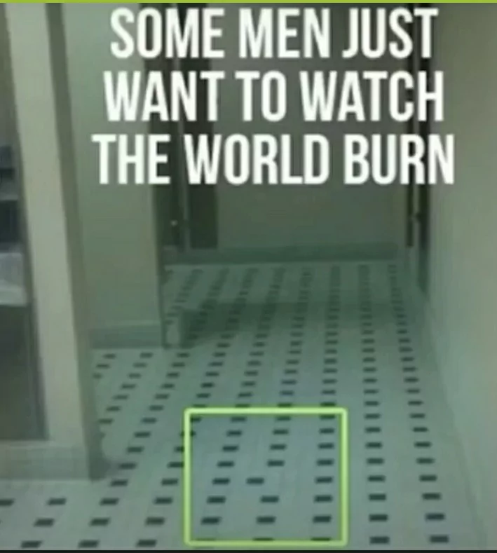 Some Men Just Want To Watch The World Burn 1 Some Men Just Want To Watch The World Burn meme