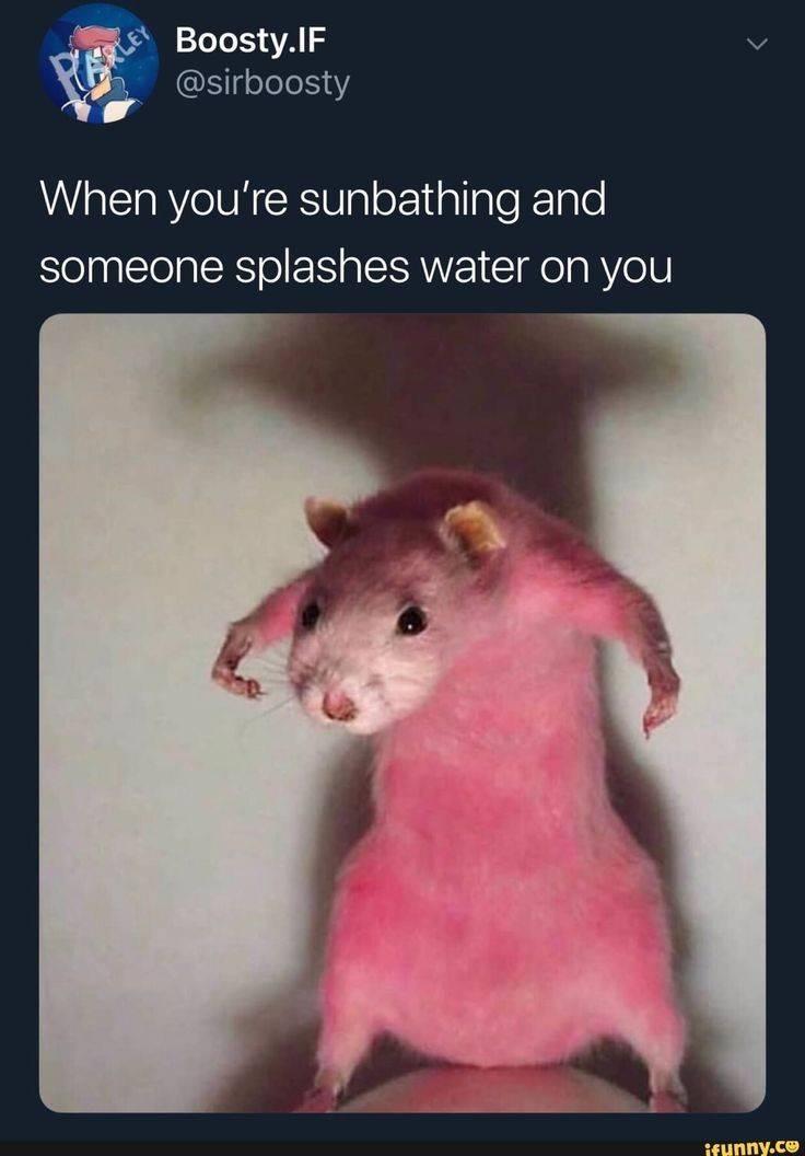 15 Sunbathing Memes That Will Make You Want To Soak Up the Sun 6 Someone splashes water on you - sunbathing memes