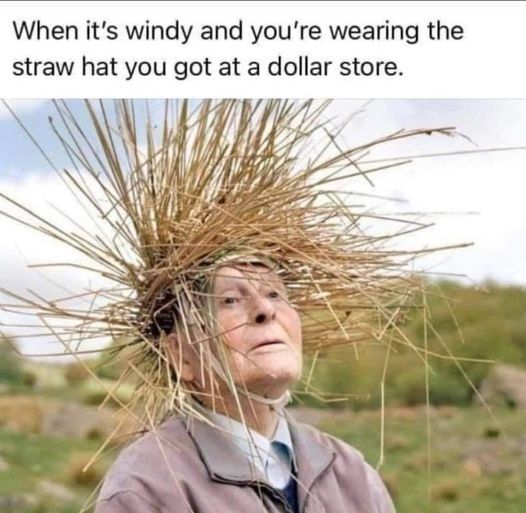 That Wind Is Nuts 1 the wind is nuts meme