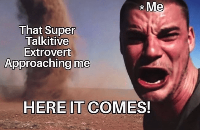 20 Memes That Show What Happens When An Extrovert Meets An Introvert 13 That super talkative extrovert