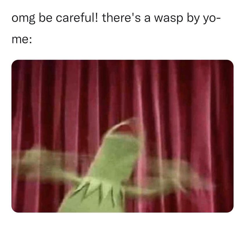 25 Clean Memes That Will Make You Feel Good Inside 11 There is a wasp