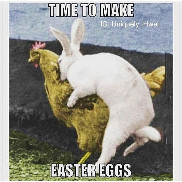 24 Egg-cellent Easter Memes That Will Crack You Up 16 Time to make easter eggs - easter memes