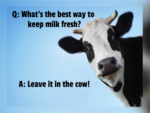 60 Vegan Jokes That Will Even Make A Carnivore Laugh 1 Vegan Jokes