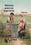 chicken soup meme