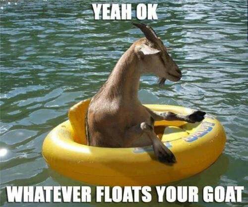 25 Goat Memes That Will Make You Go 'Bahahaha! 18 Whatever - Goat memes