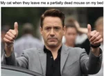 cat brings dead mouse meme