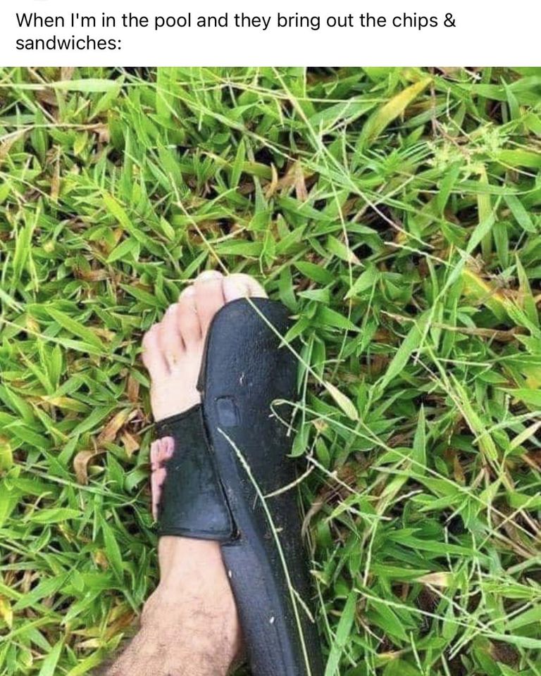 25 Clean Memes That Will Make You Feel Good Inside 14 When Im in the pool - clean memes