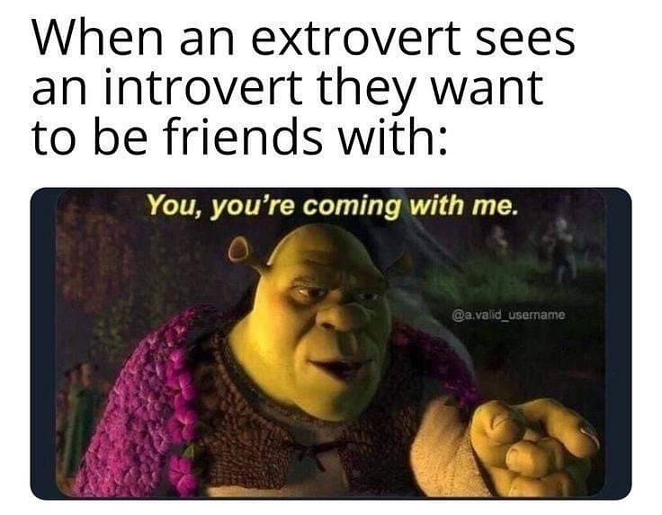 20 Memes That Show What Happens When An Extrovert Meets An Introvert 15 When a extrovert sees an introvert - Extrovert Meets An Introvert