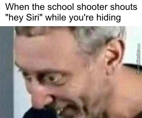 27 Hey Siri Memes That Will Make You Wish You Had A Personal Assistant 19 When the shoocl shooter shouts - hey siri memes