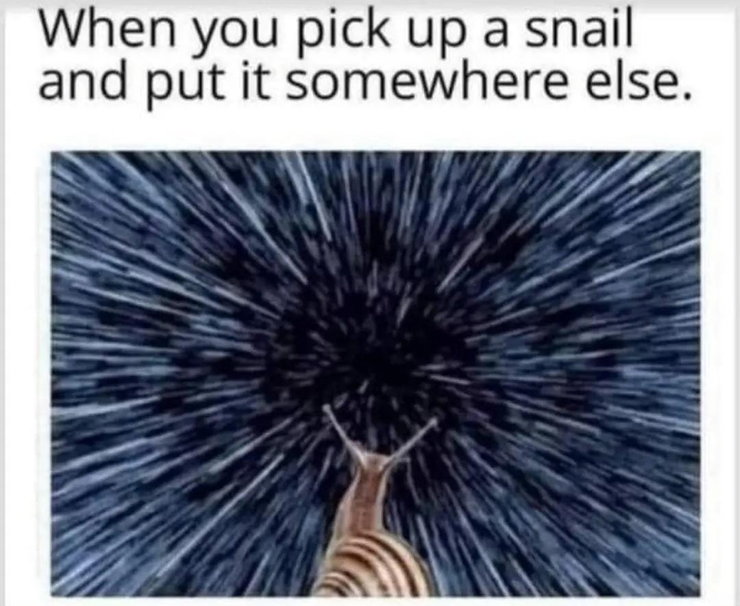 When you pick up a snail