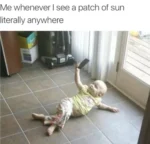 Sunlight memes