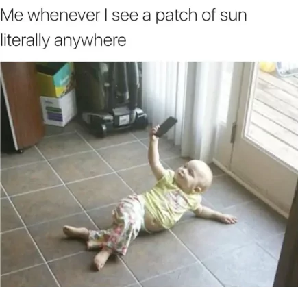 Whenever I See A Patch of Sunlight 1 Sunlight memes