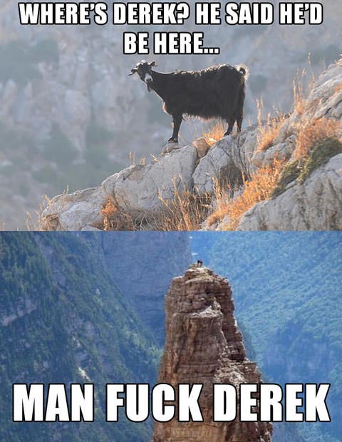 25 Goat Memes That Will Make You Go 'Bahahaha! 20 Where's Derek - Goat Memes