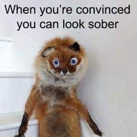 25 Sunday Memes That Will Instantly Brighten Your Day 15 You can look sober - Sunday memes