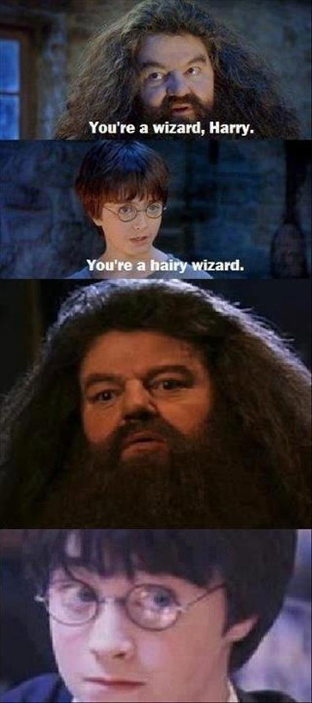 25 Clean Memes That Will Make You Feel Good Inside 19 You're a wizard harry