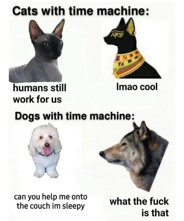 18 Dog vs Cat Memes That Will Make You Laugh & Pick a Side 2 cats vs dogs with a time maching - dog vs cat memes