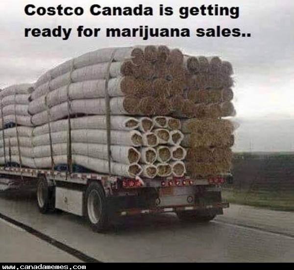 25 Costco Memes That Will Make You Laugh In Bulk 2 costco canada is grtting ready