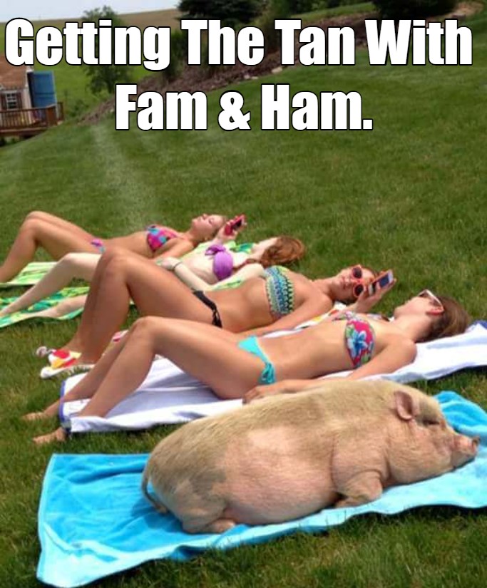 Getting The Tan With Fam And Ham 1 Getting a tan meme