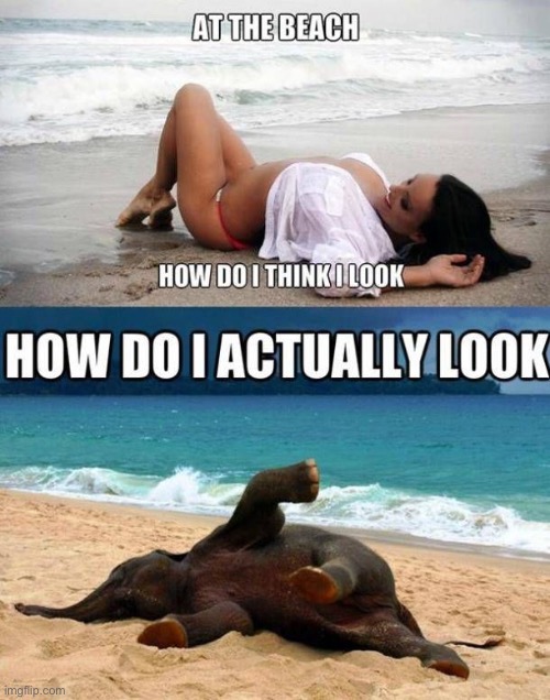 15 Sunbathing Memes That Will Make You Want To Soak Up the Sun 2 how do you think I look - sunbathing memes