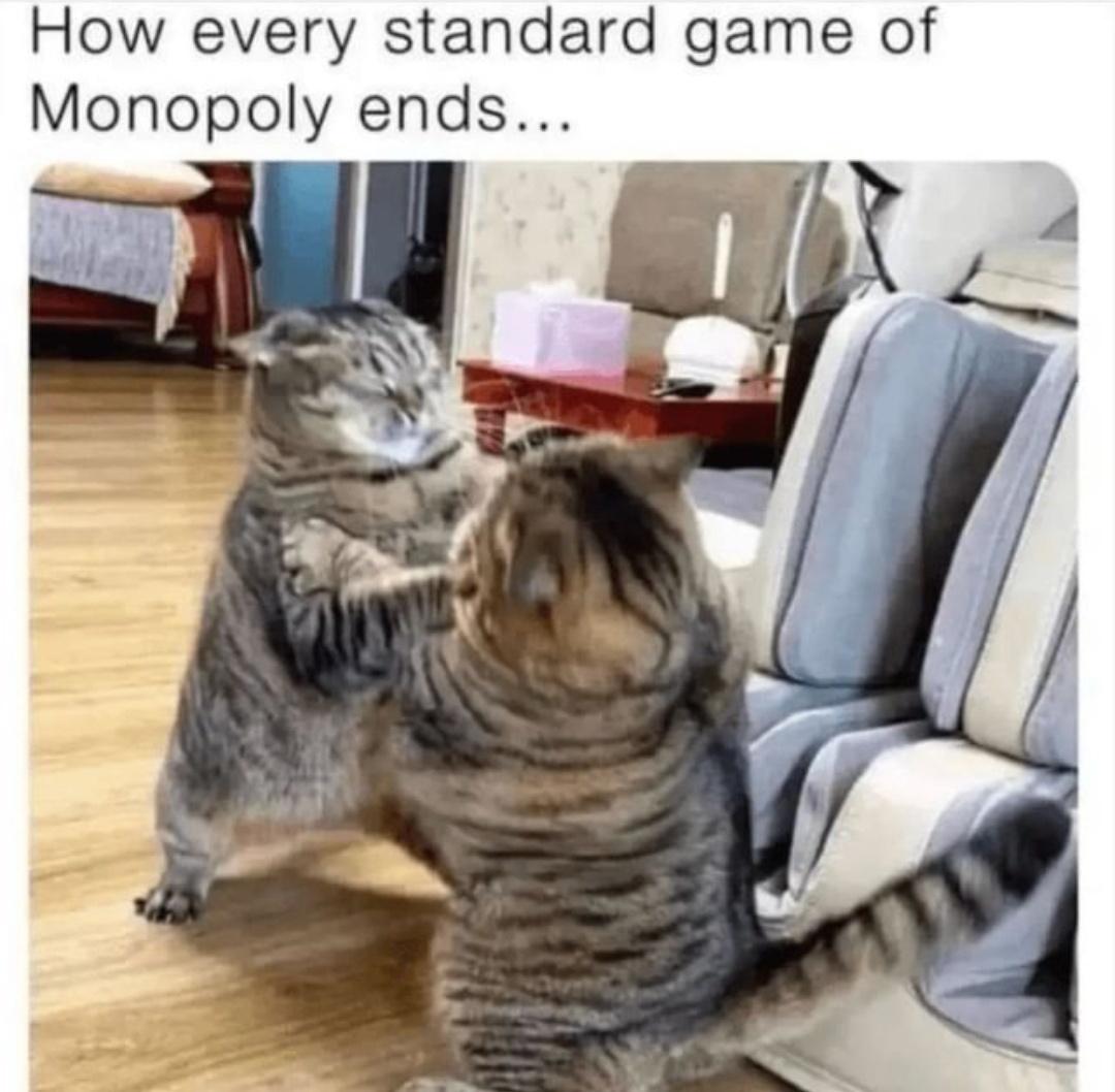 25 Sunday Memes That Will Instantly Brighten Your Day 8 how monopoly ends - Sunday memes