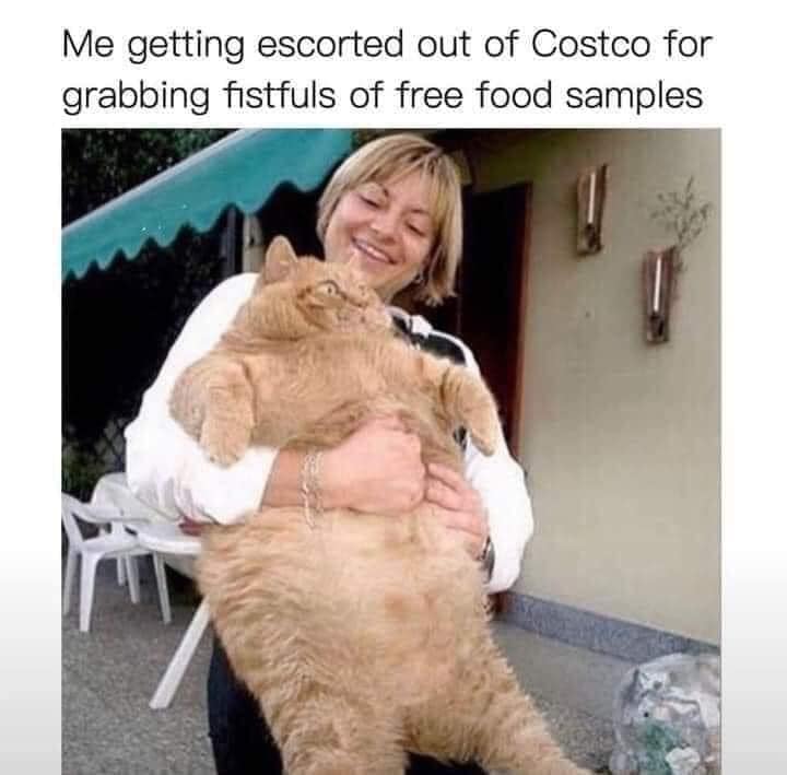 25 Costco Memes That Will Make You Laugh In Bulk 7 me getting escorted out of costco
