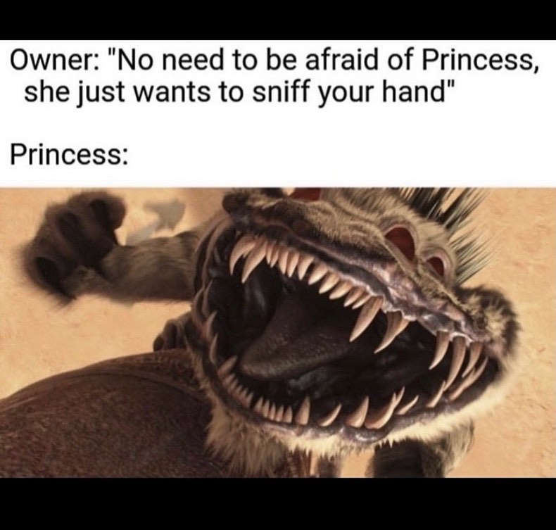 26 Pet Owner Memes That Will Have You Nodding In Agreement 8 no need to be afraid of princess - pet owner memes