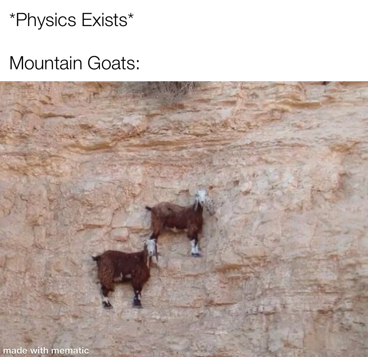 25 Goat Memes That Will Make You Go 'Bahahaha! 13 physics dont apply to goats - goat memes