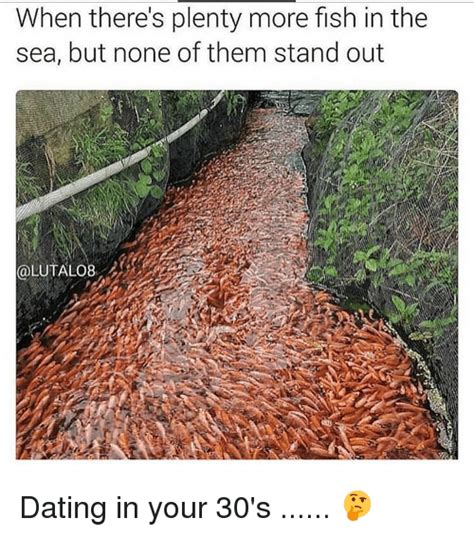 20 Memes That Describe The Horrors Of Dating In Your 30s 13 plety of fish in the sea