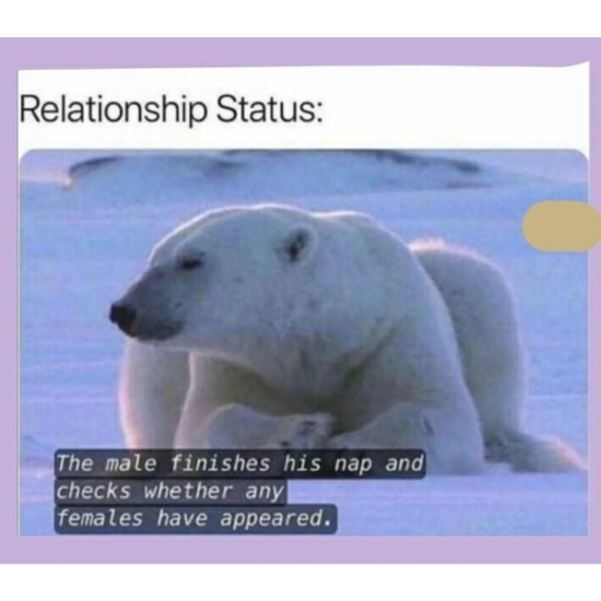 20 Memes That Describe The Horrors Of Dating In Your 30s 14 relationship status