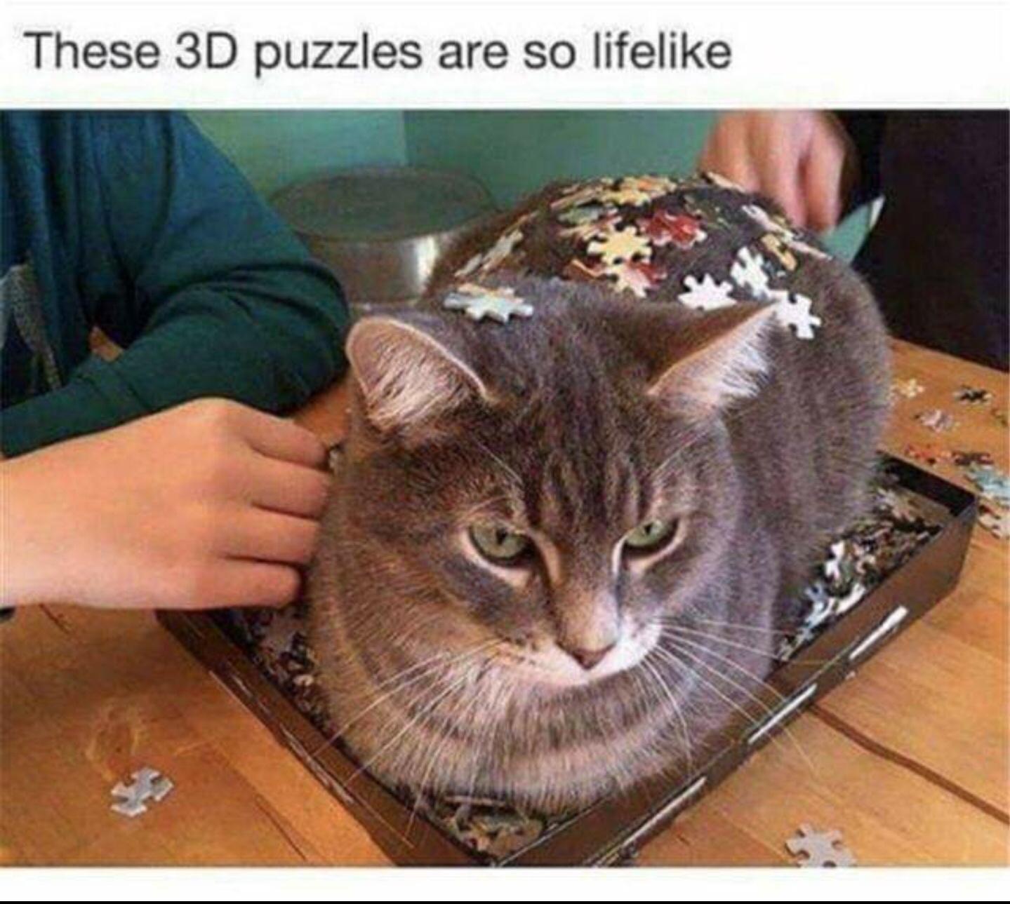 25 Laughter-Inducing Memes You Didn't See Coming 1 3D Puzzles Are So life like - laughter-inducing memes