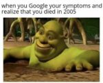 google your symptoms meme