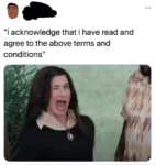 terms and condition meme