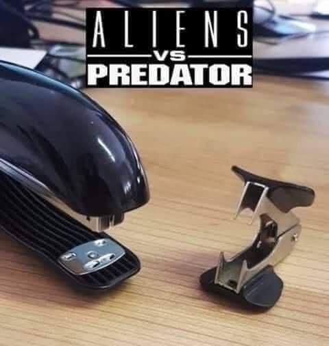 26 Hilarious Sunday Memes To End the Week On A Funny Note 2 Aliens vs predators