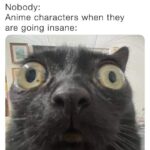 Anime character memes