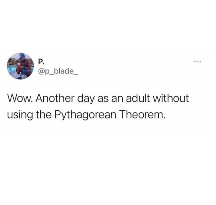 15 Pythagoras Theorem Memes That Will Make You Laugh All The Way To The Hypotenuse 1 Another day as an adult - Pythagoras Theorem memes