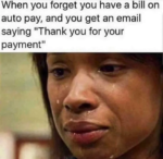 Auto pay memes