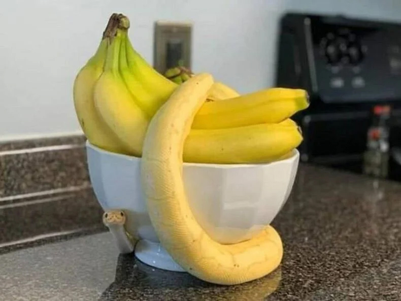 20 Memes That Will Make You Snort with Laughter 2 Banana