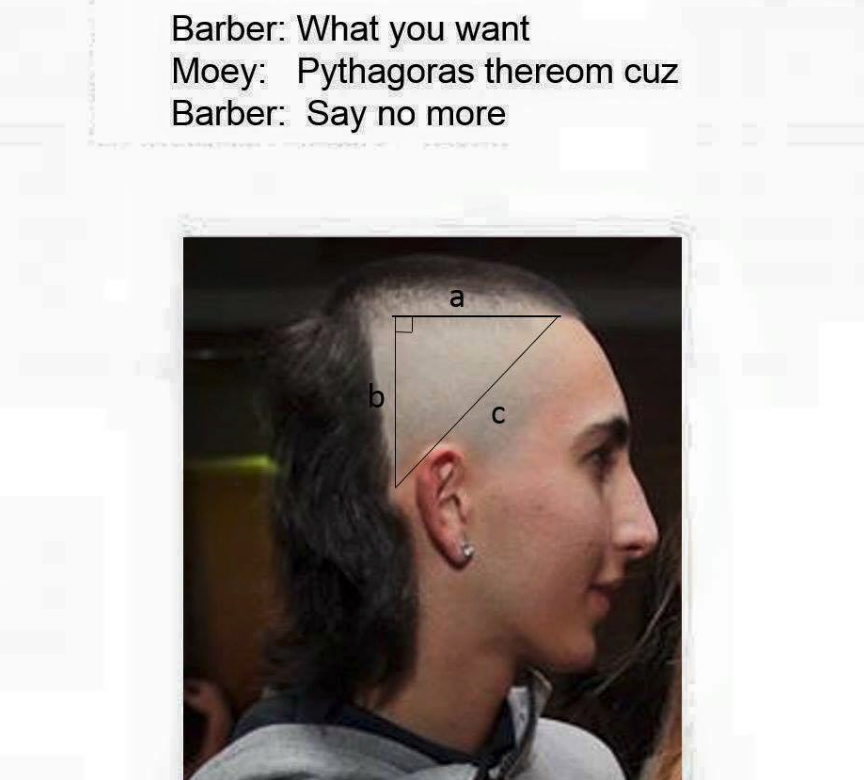 15 Pythagoras Theorem Memes That Will Make You Laugh All The Way To The Hypotenuse 2 Barber what do you want - Pythagoras Theorem memes