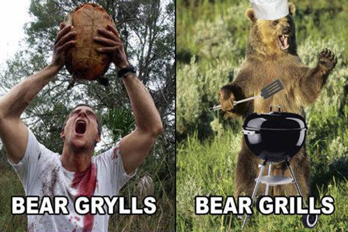 Bear Grills