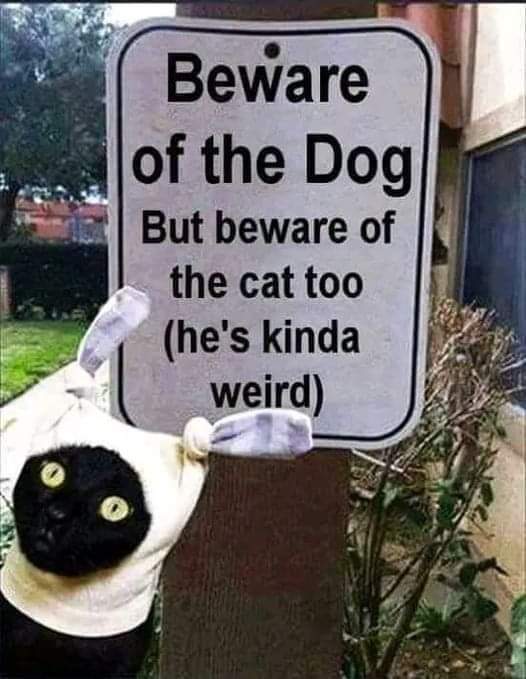 Beware of dog memes
