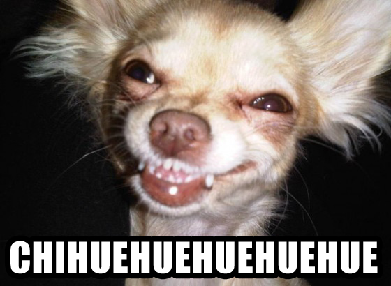 Chihuehihhihhi
