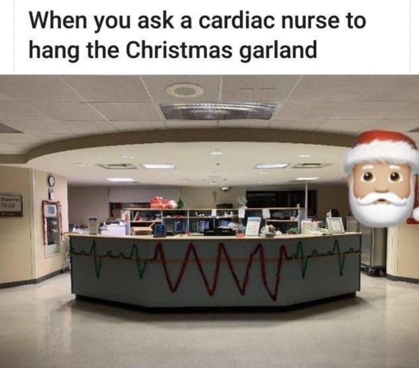 25 Laughter-Inducing Memes You Didn't See Coming 3 Christmas garland